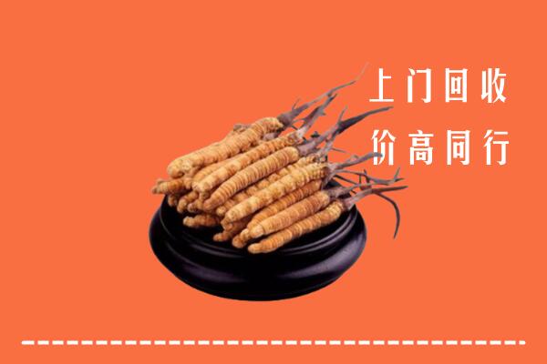 高价求购：阳信回收散虫草