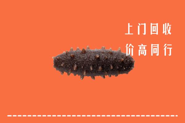 高价求购：阳信回收海参