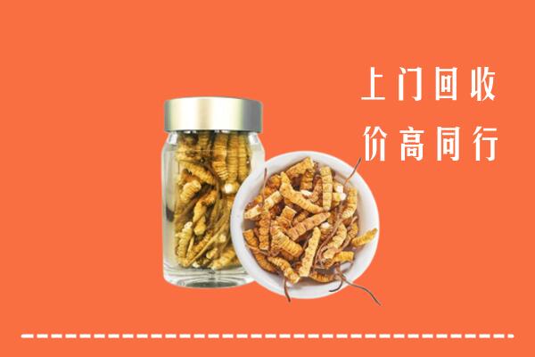 阳信回收冬虫夏草