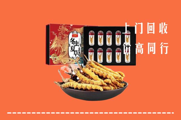 阳信回收虫草